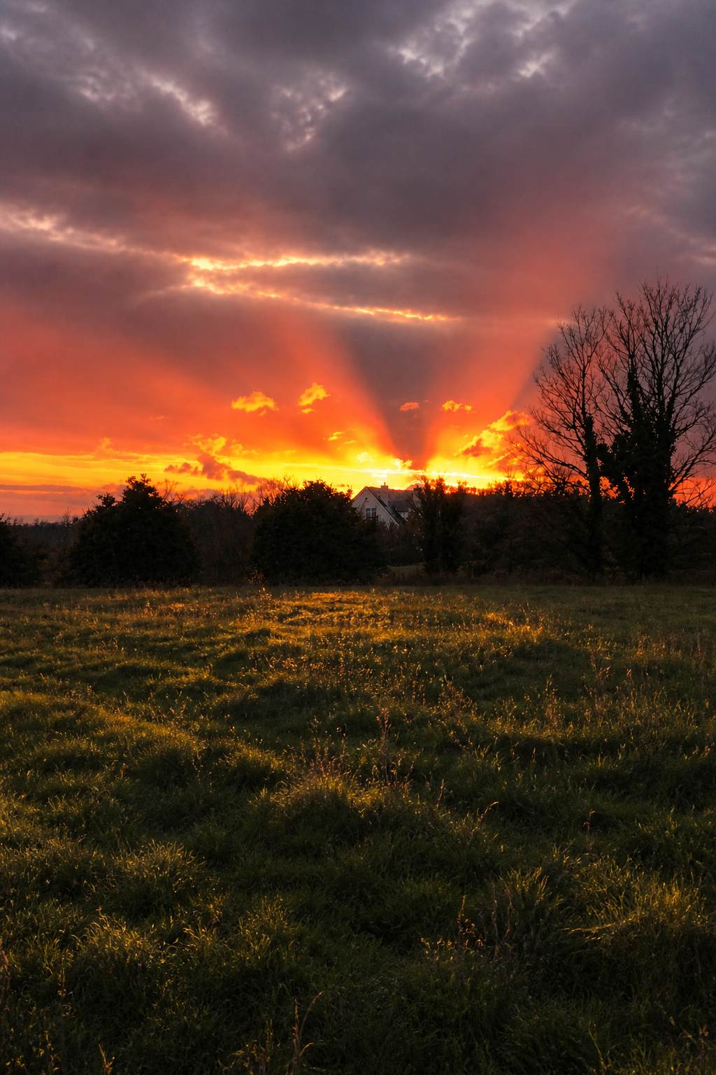 Resized sunset